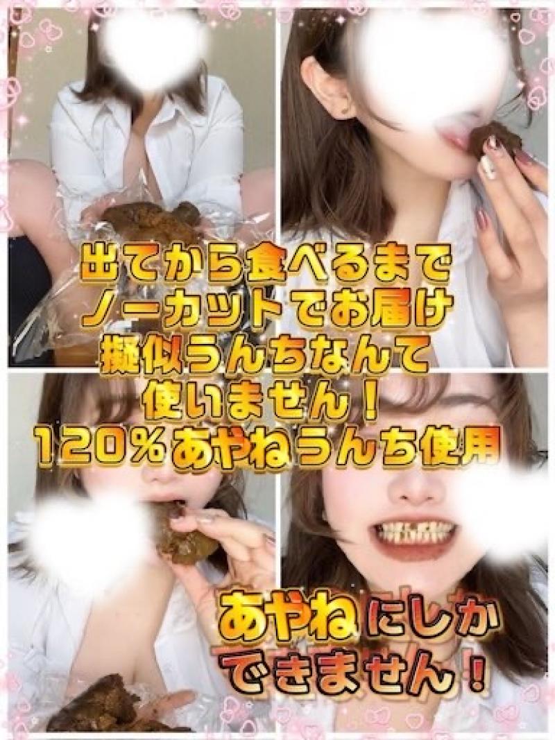 出品者名-写真-1