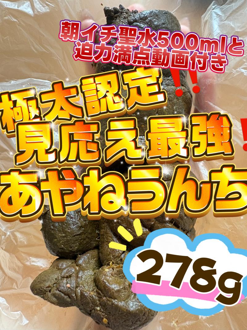 出品者名-写真