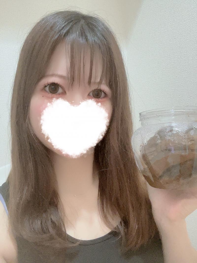 出品者名-写真