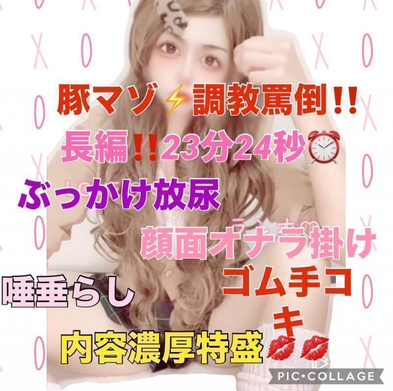 出品者名-写真