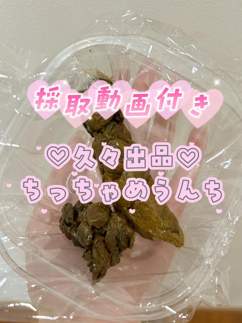 出品者名-写真