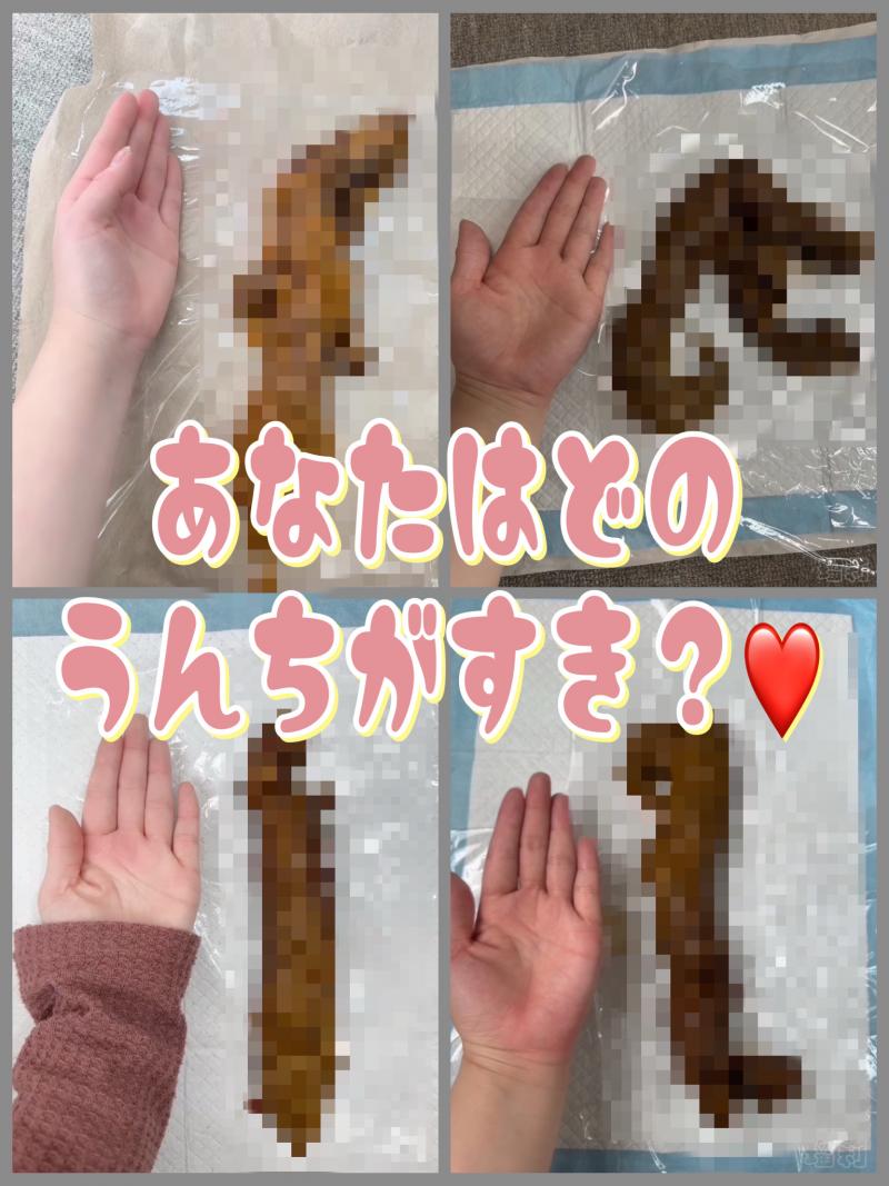 出品者名-写真-1