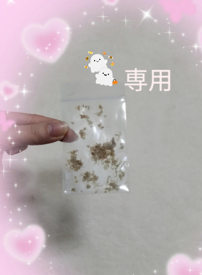 出品者名-写真