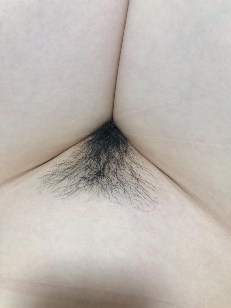 出品者名-写真