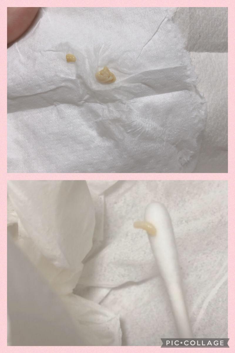 出品者名-写真-1
