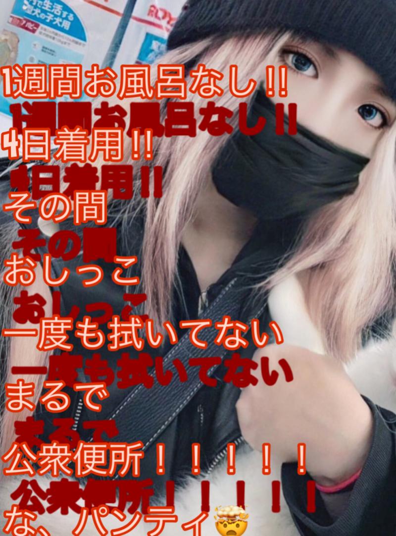 出品者名-写真