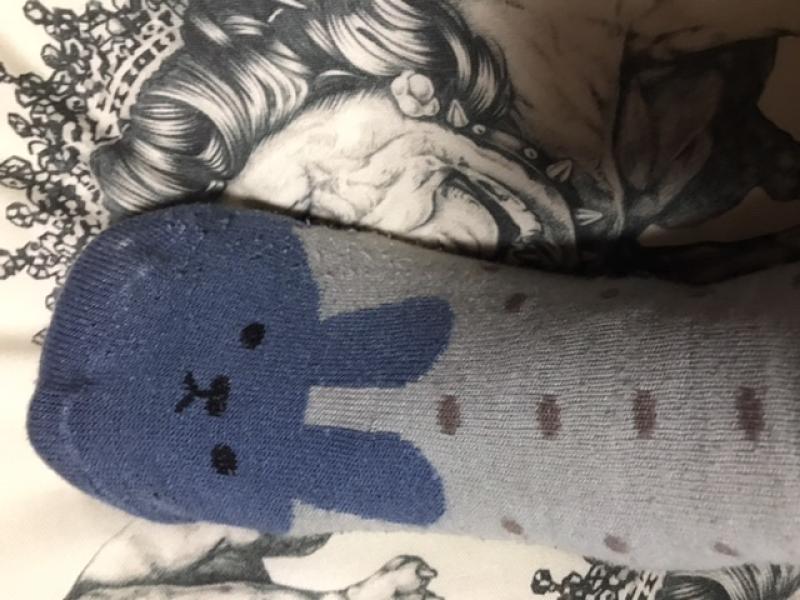 出品者名-写真-1