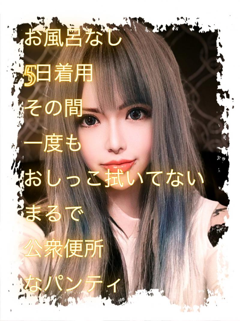 出品者名-写真-1