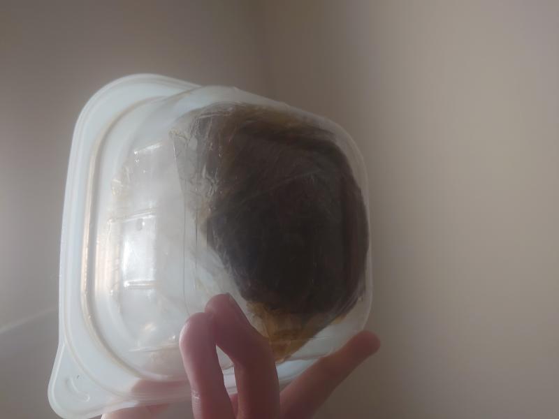 出品者名-写真-1