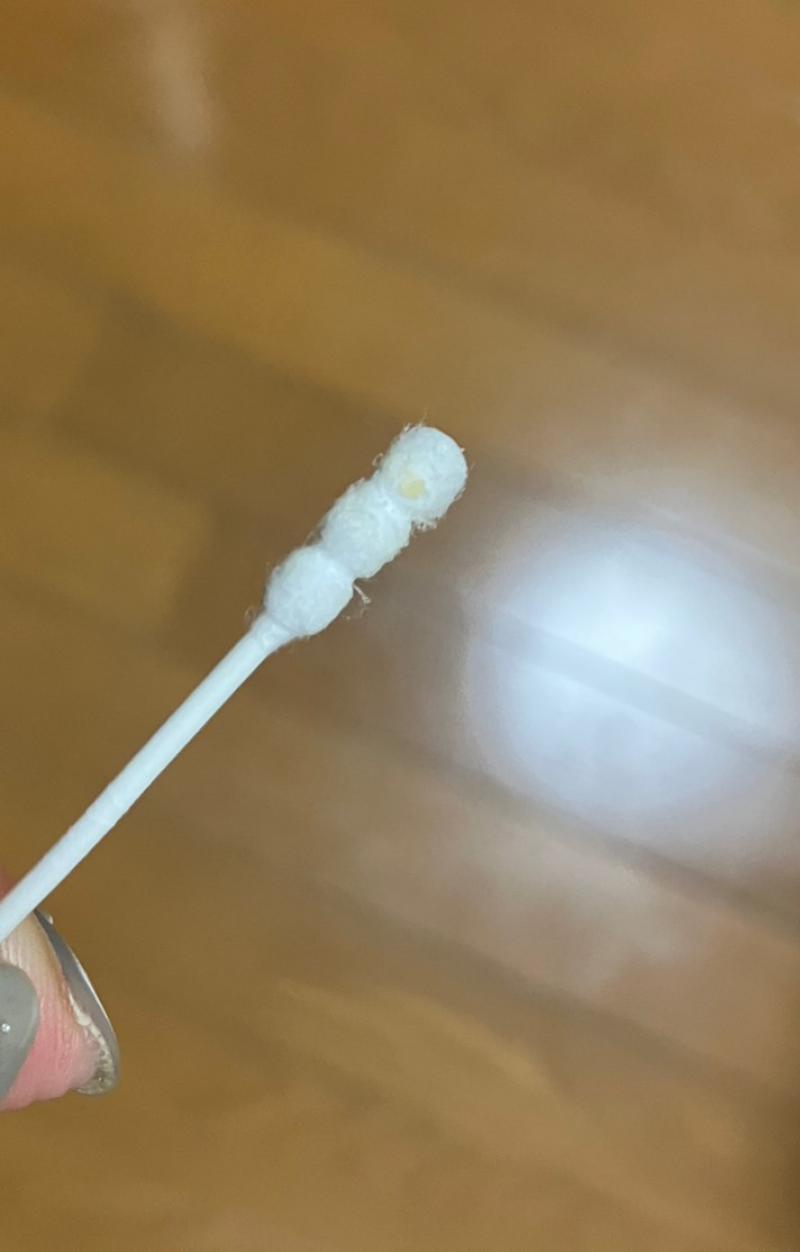 出品者名-写真-1