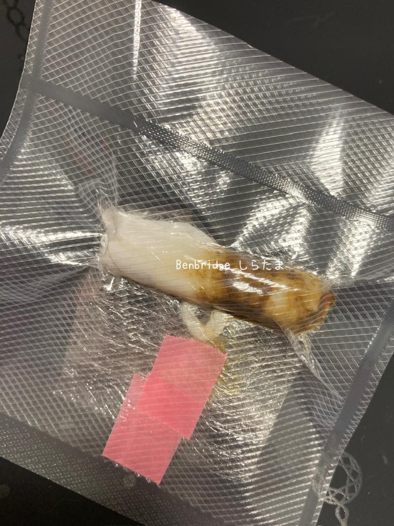 出品者名-写真-1