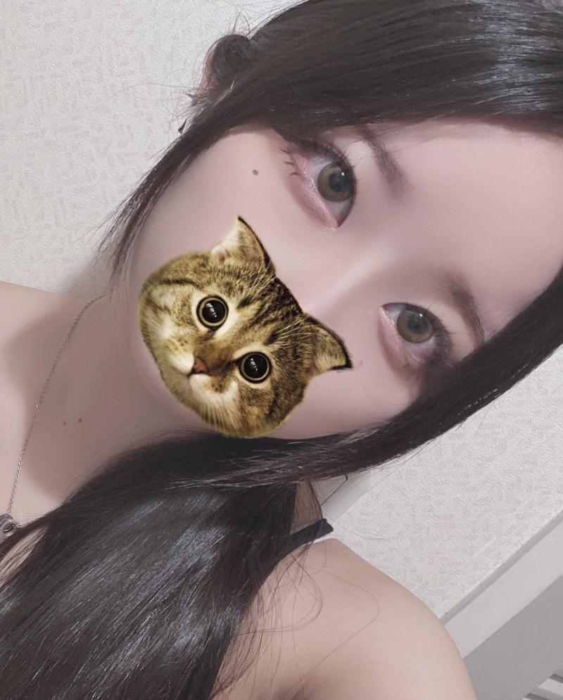 出品者名-写真