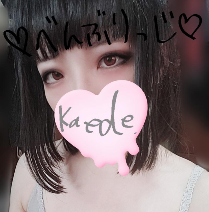出品者名-写真
